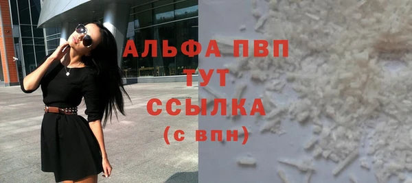 сатива Волоколамск
