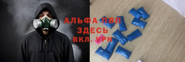 сатива Волоколамск