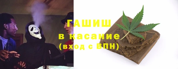 сатива Волоколамск
