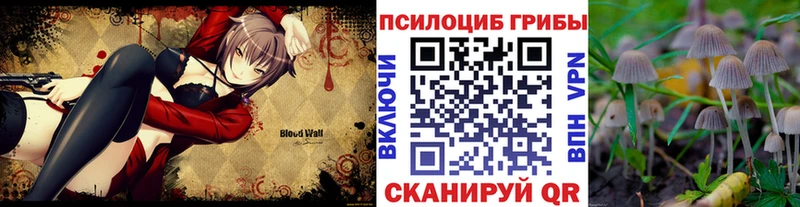 Купить закладки  Бокситогорск  Псилоцибиновые грибы Magic Shrooms 